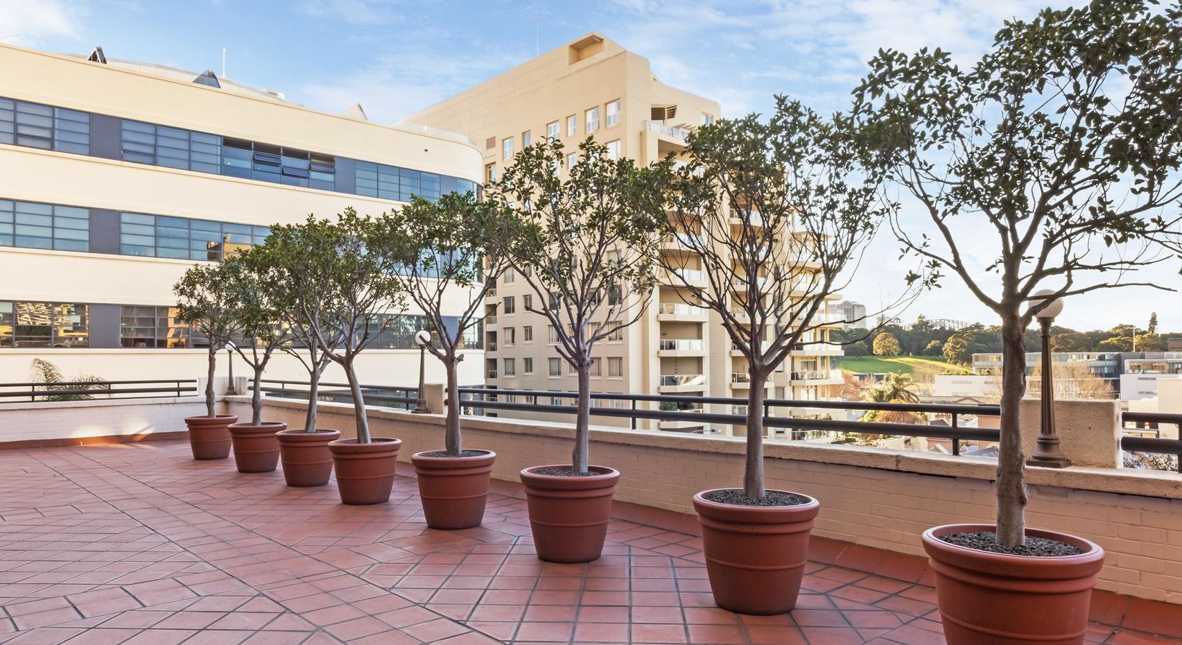 The Sydney Boulevard Hotel Eksteriør billede
